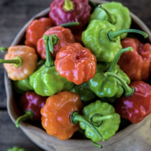 A bowl filled with colorful habanero peppers in various shades.